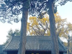 -北京凤凰岭