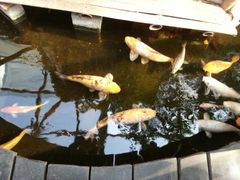 android_upload_pic-上海大自然野生昆虫馆