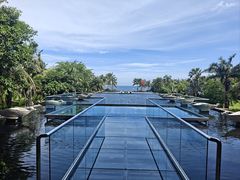 -亚龙湾喜来登·美景台大堂吧