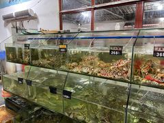 水产区-岛中岛·海鲜大排档·万宁老字号(东澳店)