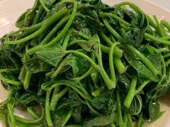 红薯叶-保定会馆(裕华店)
