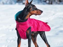 -太子岭滑雪场