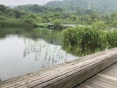 -西湖风景区-江洋畈生态公园