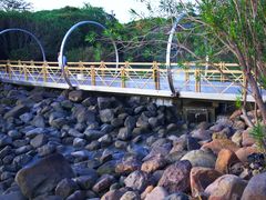 -吴淞炮台湾湿地森林公园烧烤区