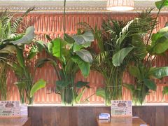 -云阿蛮云南生烫牛肉米线(奉贤路店)