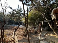 -小仙居·农家宴烤羊· 农庄