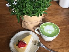 小熊抹茶拿铁-懒鱼时光馆(沙坪坝店)