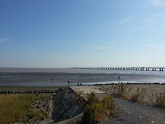 android_upload_pic-南汇嘴观海公园