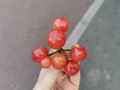 -樱桃山旅游景区