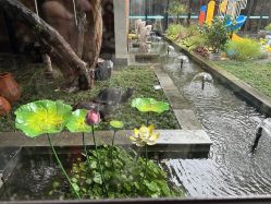 -保丽宝泰母婴护理院·月子中心·产康·中医(常州店)