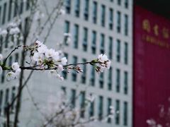-南京航空航天大学(将军路校区)