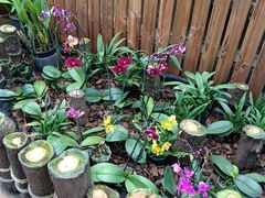 -国家植物园南园