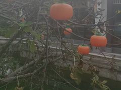 -雅达·阳羡溪山小镇中心