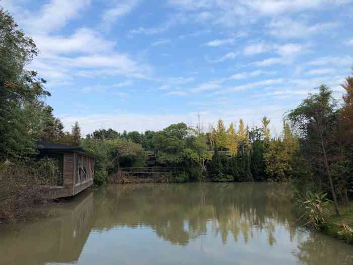陶家湾休闲农庄-"又来买水果了.这个进口水果批发市场是长.