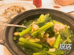春菜煲-金河半岛园林酒家(金融城店)