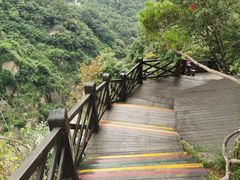 -九鲤湖风景区