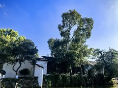 -苏州文庙(姑苏区)