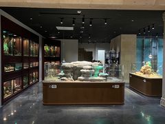 -帕帕拉兹宠物(亚洲旗舰店)