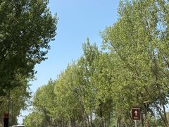 -汉长安城未央宫国家考古遗址公园