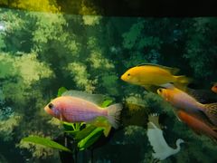 -欢乐海岸海洋奇梦馆