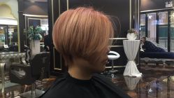 点击看大图 -八佰伴8008星级形象店