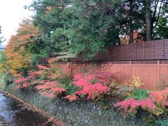 -金泽21世纪美术馆