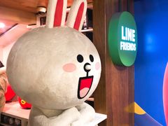 -line friends(明洞旗舰店)