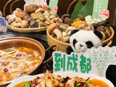 -一善菌·云南菌汤·云南菜(银泰城店)