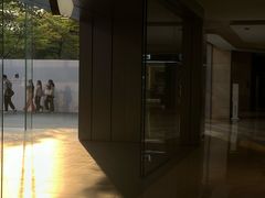 -Apple零售店(深圳益田假日广场店)