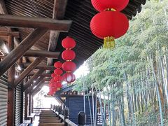 -大唐贡茶院