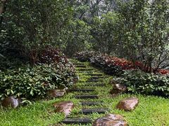 -云溪植物园