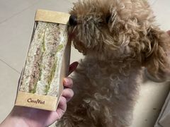 金牌吞拿鱼三明治-可莎蜜儿(湖墅南路店)