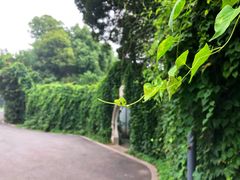 -太子山公园(园东路)