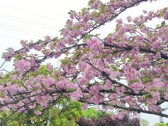 -白塘生态植物园