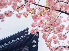 -广富林郊野公园