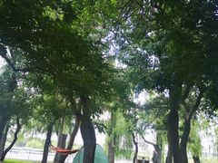 -长春市南湖公园