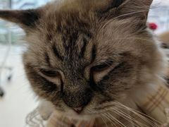 -怪兽屋·羊驼·猫咖·狗咖(俊华广场店)