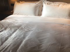 -扬州绿地铂骊酒店