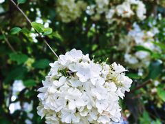 -大龙山(地铁站)