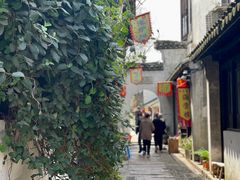 -张家港凤凰山景区恬庄古街