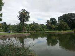 -墨尔本皇家植物园