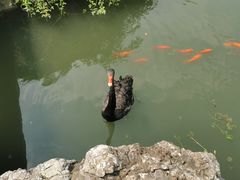 -盘门景区