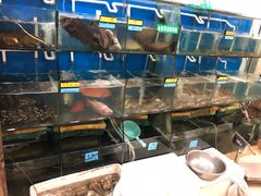 -胖大嫂渔家排档·全海景餐厅(渔村店)