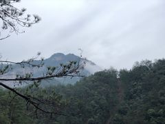 -鄣山大峡谷