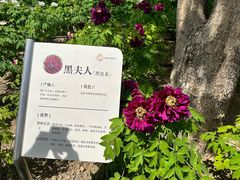 -太阳宫公园