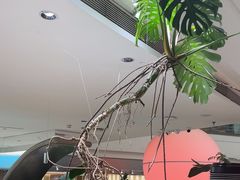 -枕水江南(铁西万象汇店)