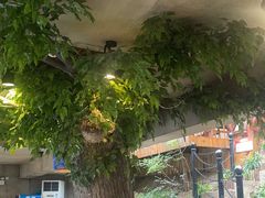 -天怡·鱼工厂(梅溪湖店)
