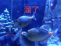 -成都浩海立方海洋公园