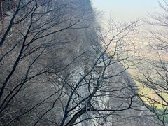 -佛慧山