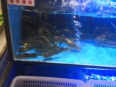 -布多斯烤肉火锅自助(江腾广场店)